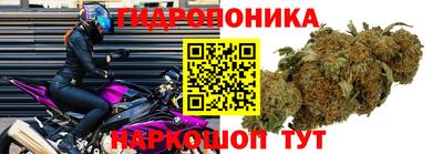 каннабис Пушкино