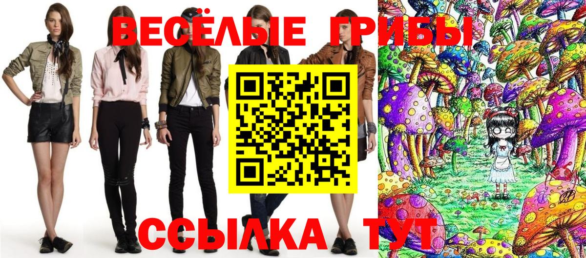 магазин продажи   Вход с VPN  Полысаево  Псилоцибиновые грибы мицелий 