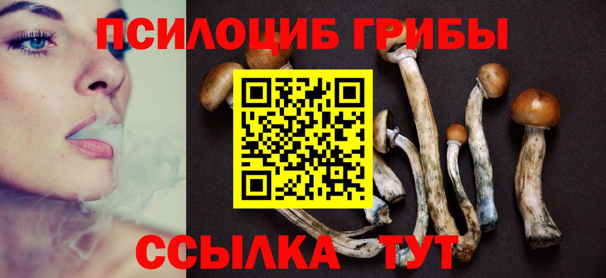 Галлюциногенные грибы MAGIC MUSHROOMS Полысаево